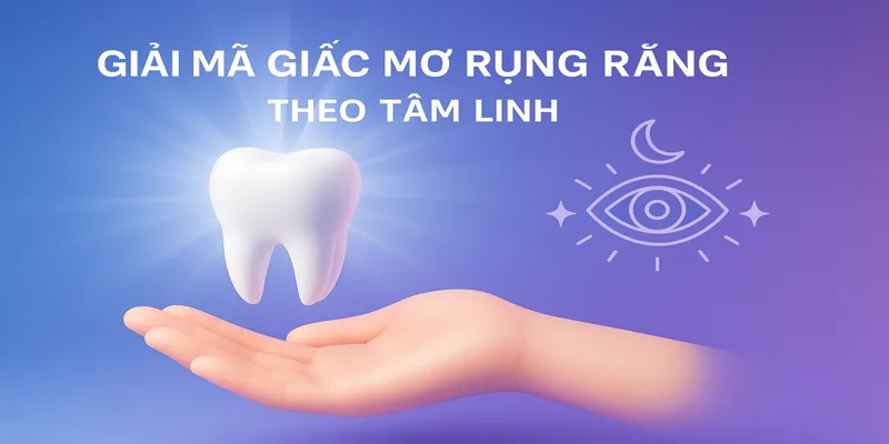 Tùy vào chi tiết trong giấc mơ, người chơi có thể chọn số phù hợp để đánh đề